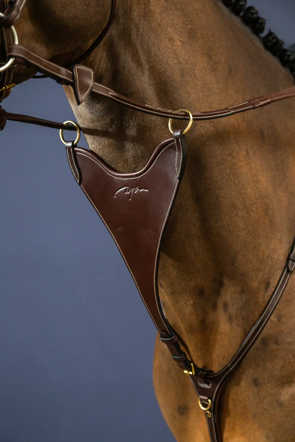 Dyon Steife geschlossene Martingalgabel D Collection Dyon Steife geschlossene Martingalgabel D Collection