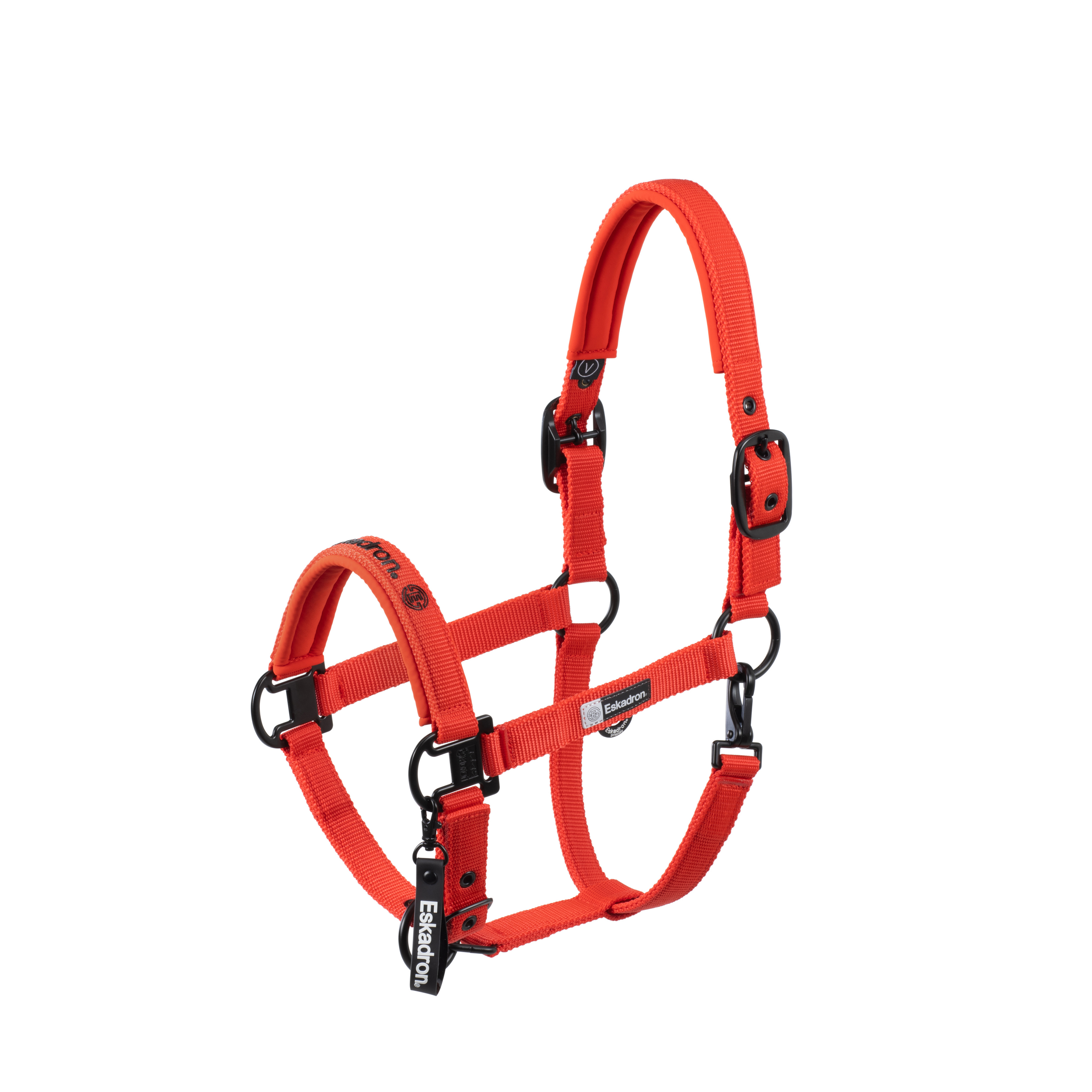 Eskadron Halfter Sparkle Double PIN Dynamic 2025