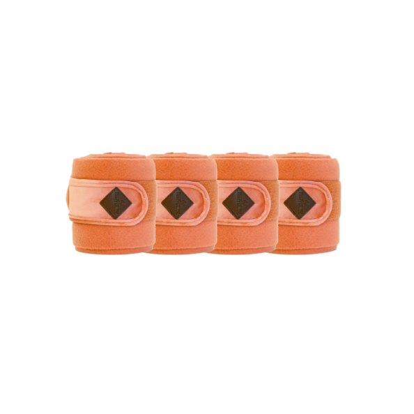42112orange 42112orange
