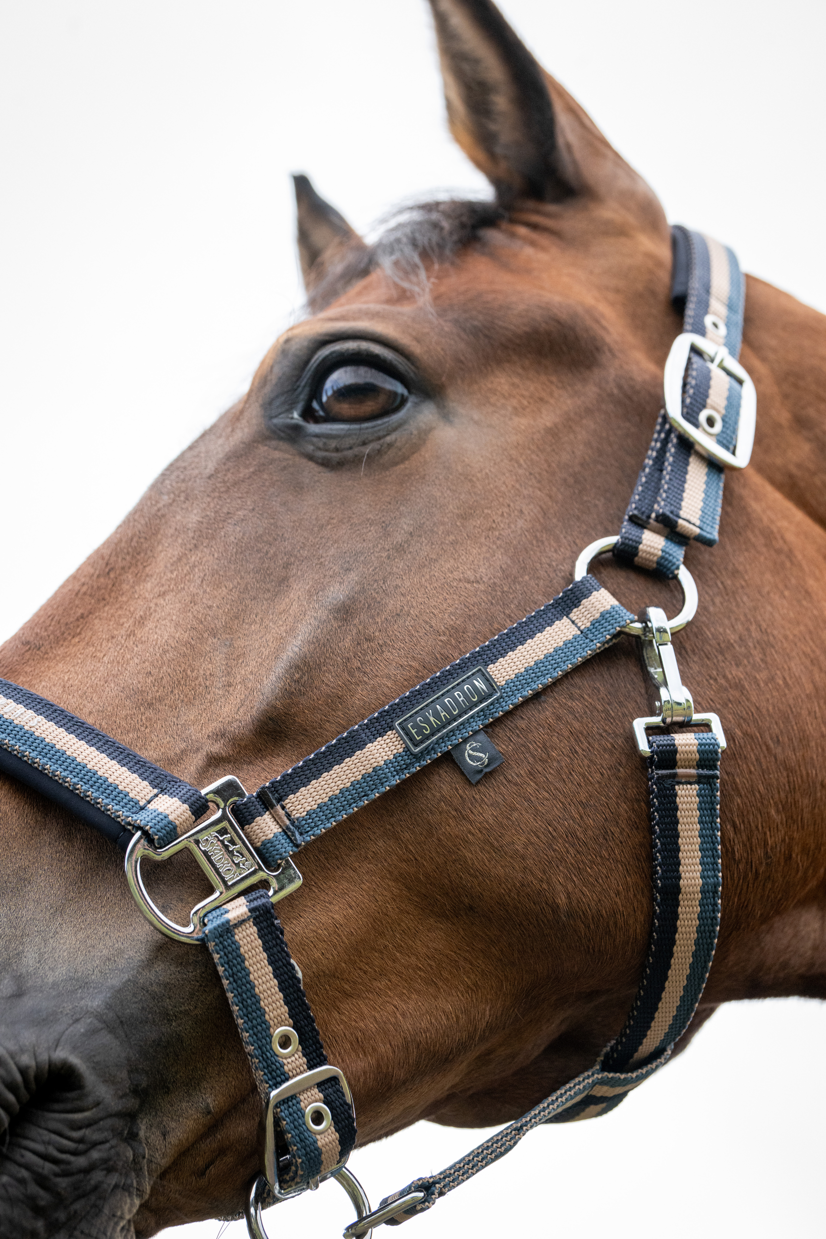 Eskadron SS26 Halfter Double PIN Classic Sports