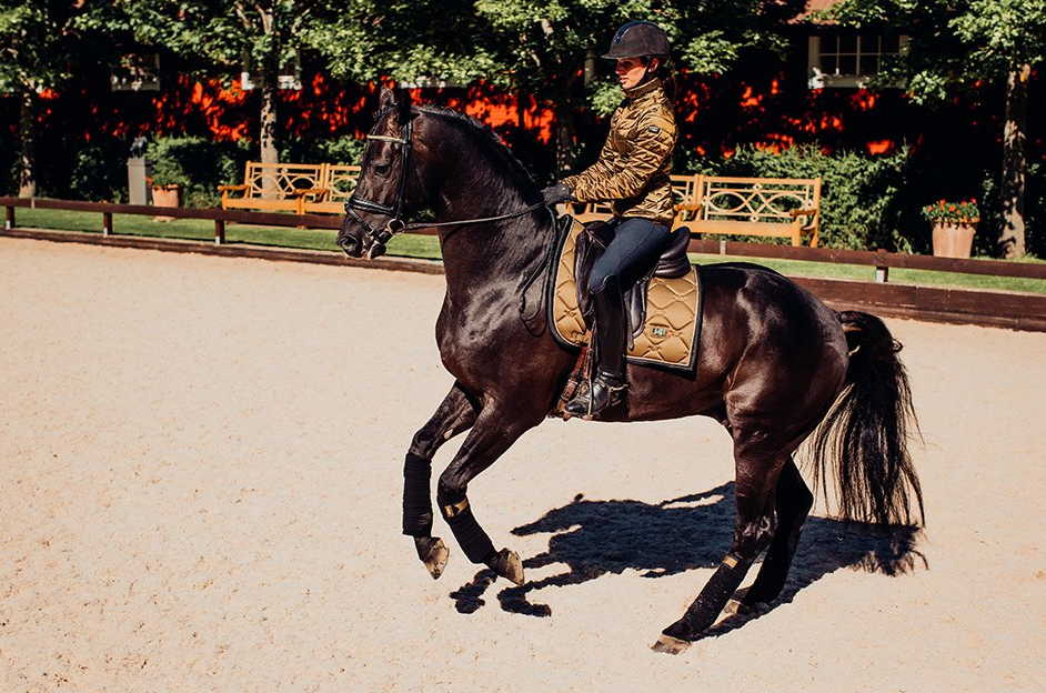 gbf3 Equestrian Stockholm Fleece Bandagen Golden Brass