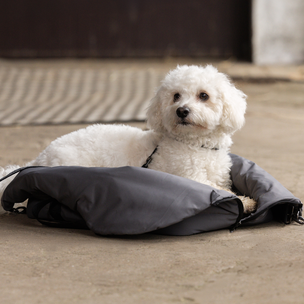 Kingsland HW25 Hundetasche mit Decke, grey forged iron