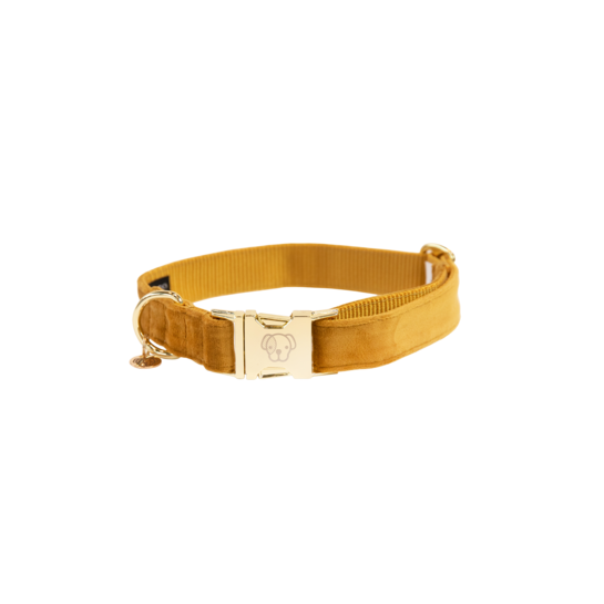 Kentucky Dogwear Hundehalsband, velvet