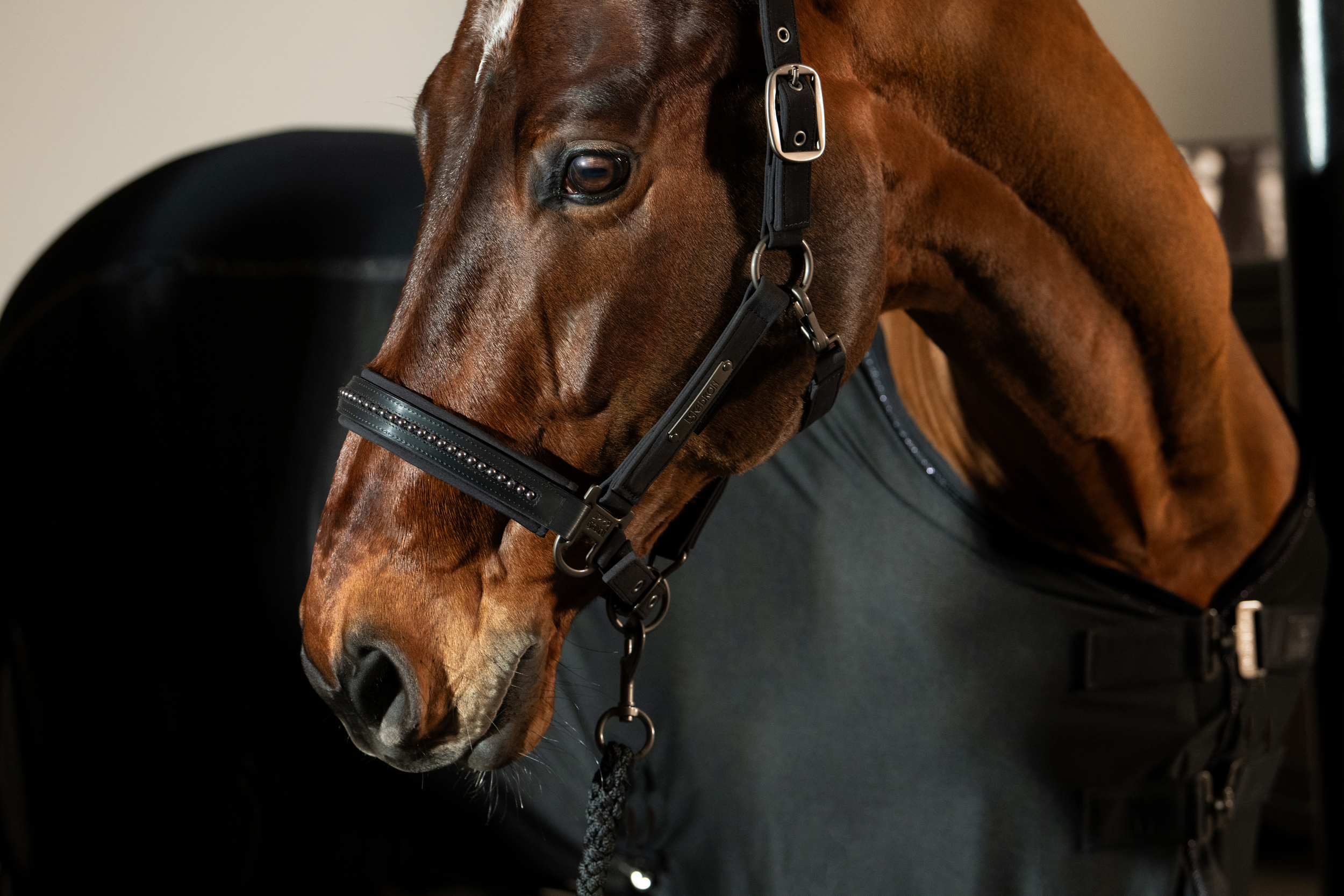 Eskadron Halfter Softshell Pearls - Double Pin Soft Rouge Platinum 2025