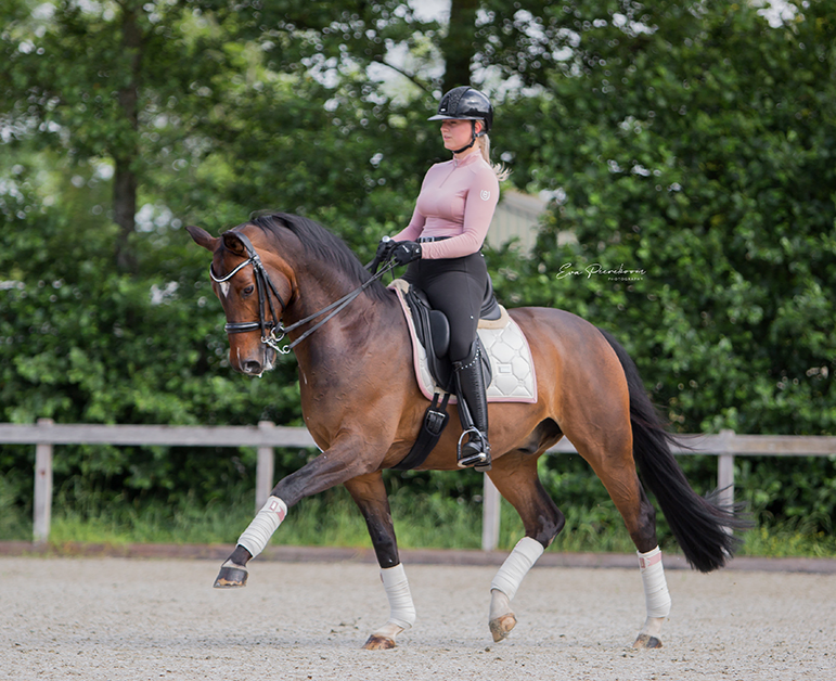 flbder2 Equestrian Stockholm Fleece Bandagen Desert Rose