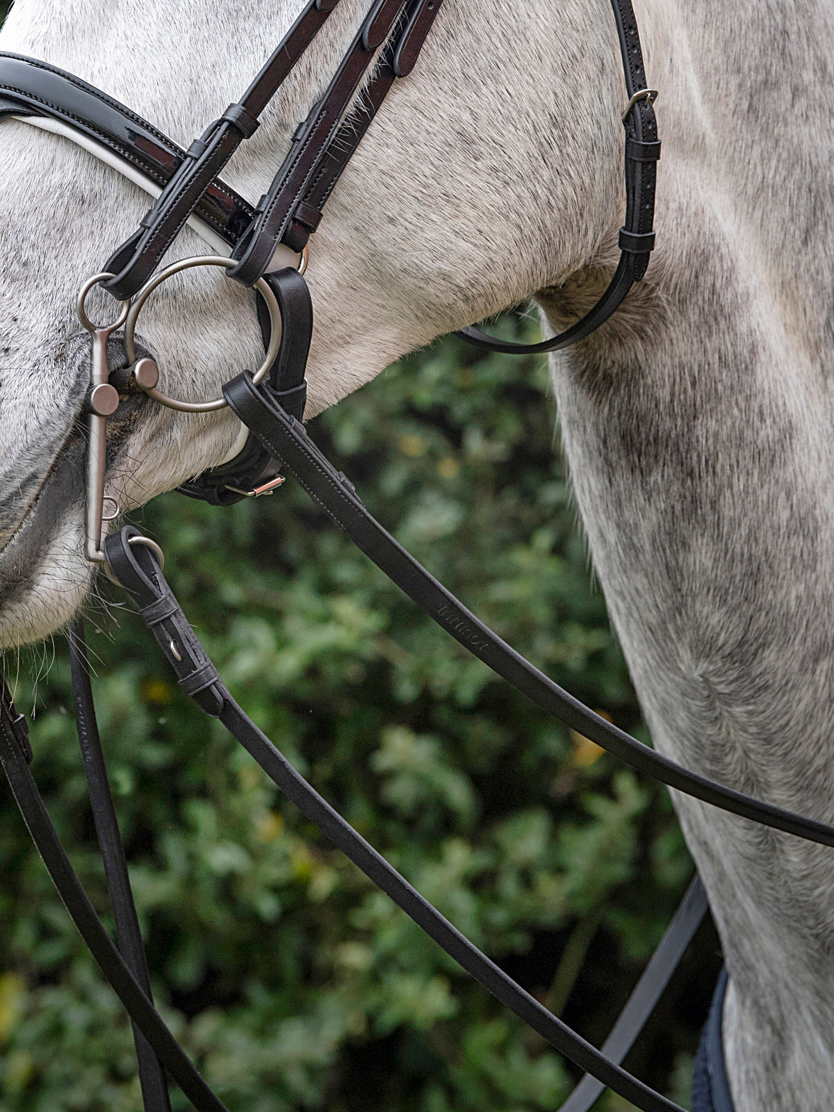 Equiline Lederzügel Continental