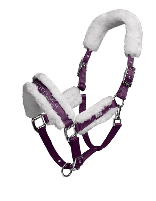 halfterorcbl Equestrian Stockholm Halfter mit Orchid Bloom, mit Führstrick