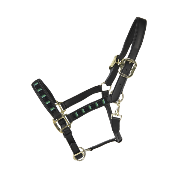 42557black Kentucky Horsewear Pearls Halfter