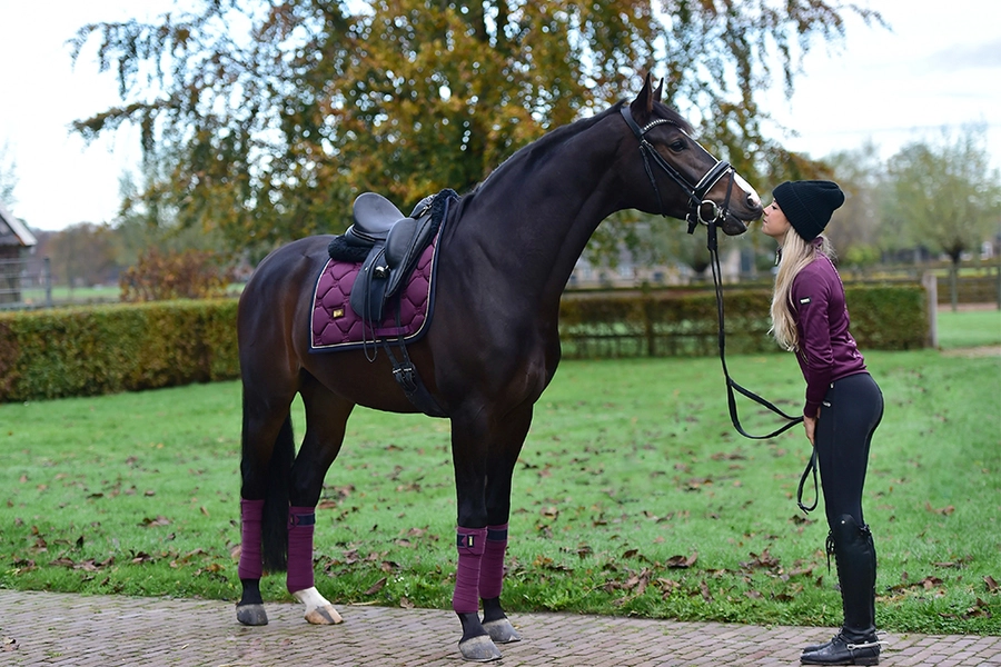 purple-gold-fleece-bandages-equestrian-stockholm-2 Equestrian Stockholm Fleece Bandagen Purple Gold