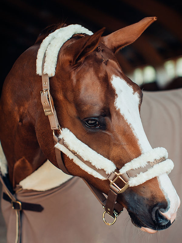 fleece-rug-champagne-esstockholm Equestrian Stockholm Abschwitzdecke mit Kragen Champagne