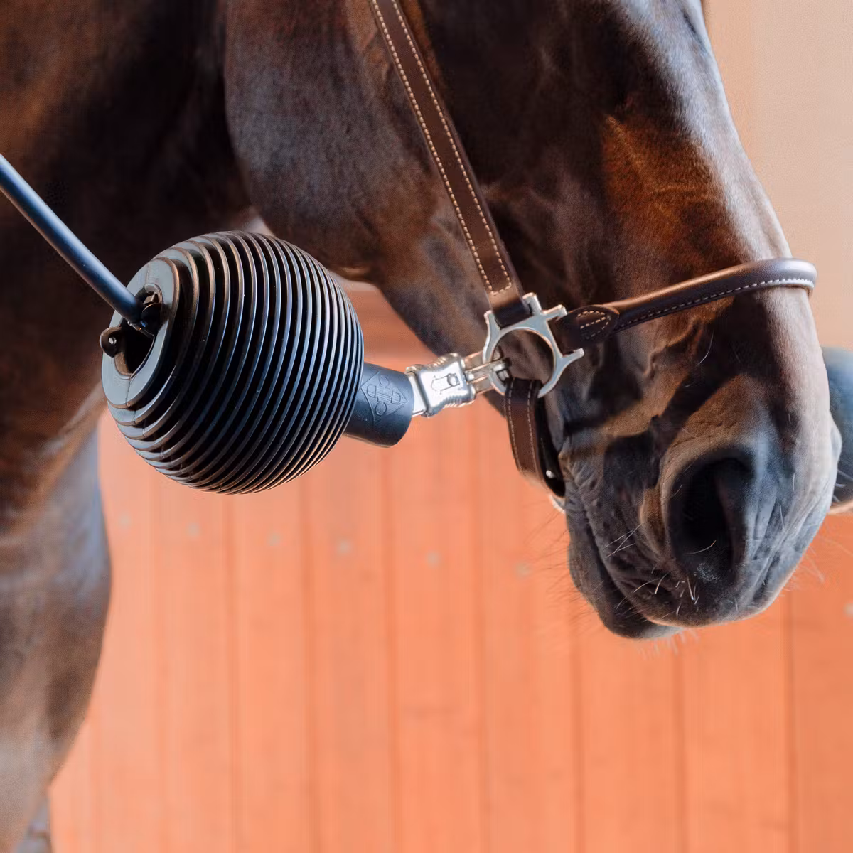 Kentucky Horsewear Gummiball Pro für Führstrick- und Wandschutz