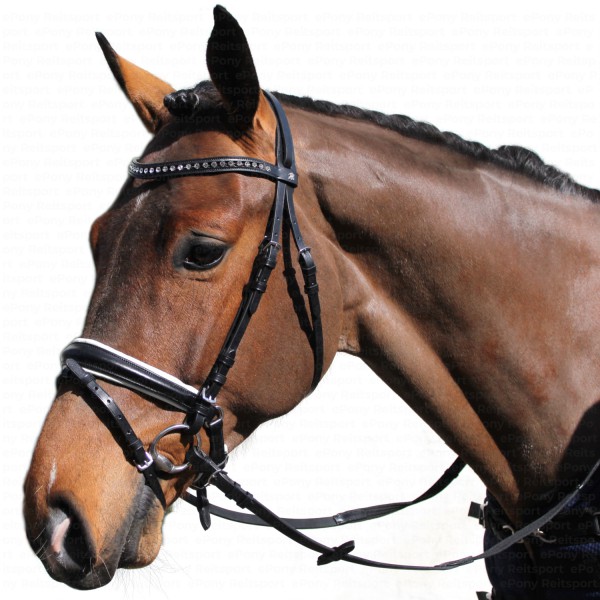 Doebert-Farmer Döbert Trense Farmer