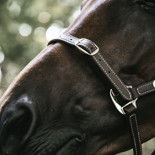 42712-3 Kentucky Horsewear Leder Halfter, flexible