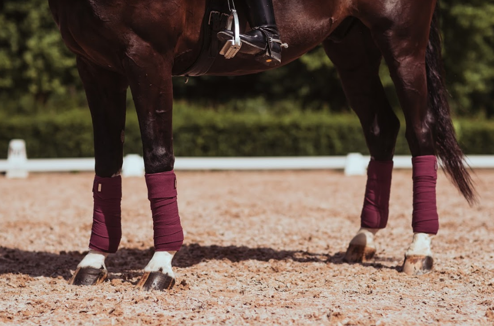PWE11zuSCyaxKpbMO Equestrian Stockholm Fleece Bandagen Purple White Edge