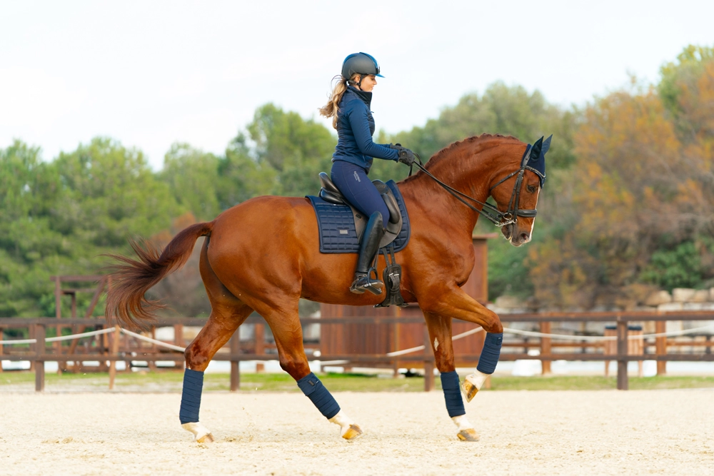 sportive_navy_dressage_2 Equestrian Stockholm Fleece Bandagen Sportive navy