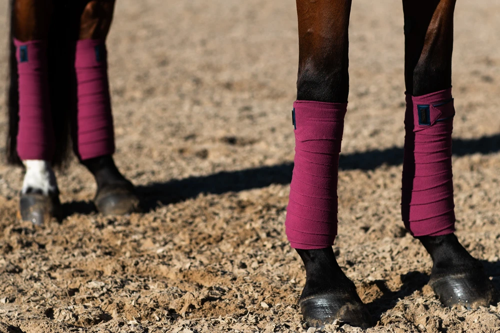 timeless-rose-fleece-bandages-benlindor-bandagen-bandages-on2 Equestrian Stockholm Fleece Bandagen Timeless Rose