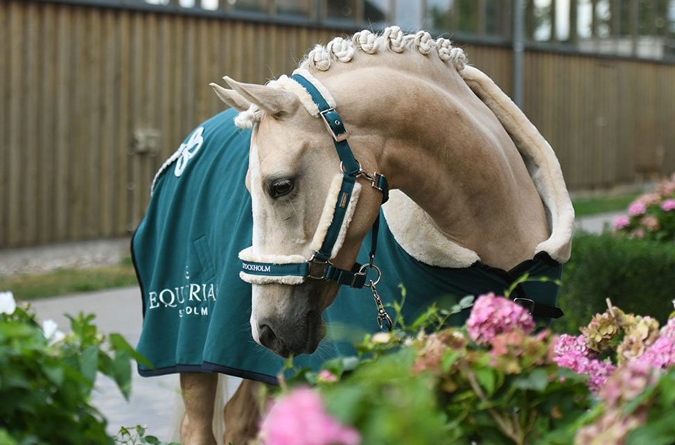 Equestrian Stockholm Halfter mit Fell Emerald