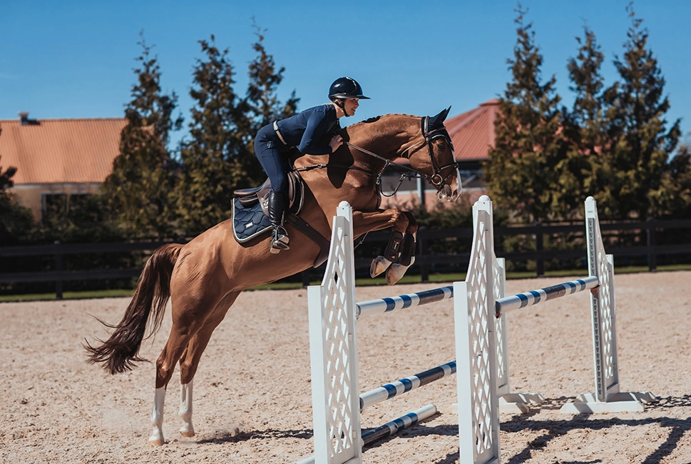 Equestrian Stockholm Spring Schabracke Royal Classic