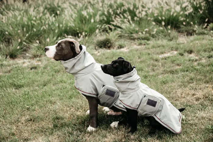 Kentucky Dogwear Hunde Regenmantel Kentucky Dogwear Hunde Regenmantel
