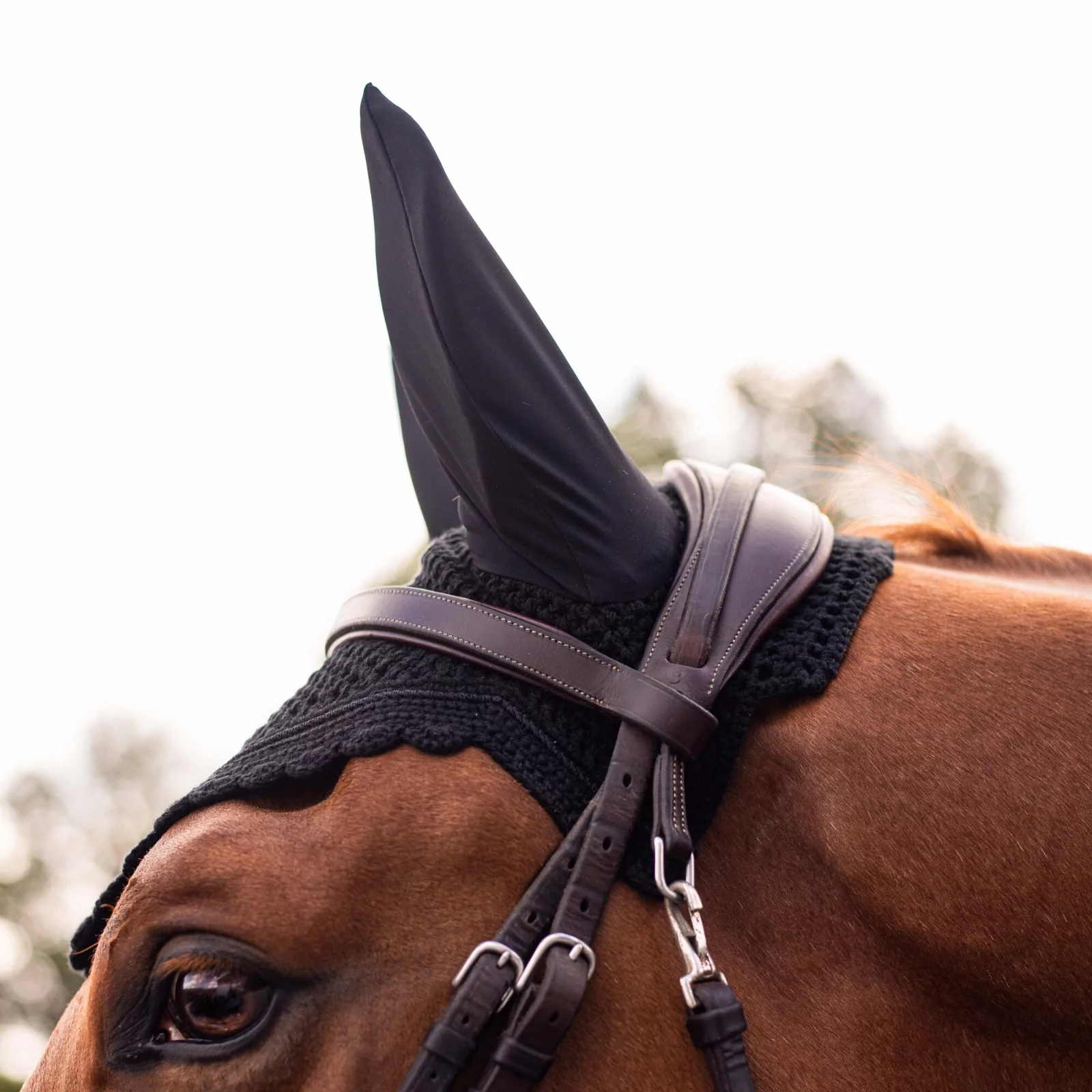 Samshield Fliegenhaube Flyshield Samshield Fliegenhaube Flyshield