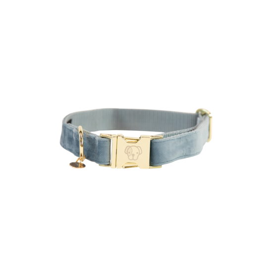 42538hellblau1 Kentucky Dogwear Hundehalsband, velvet
