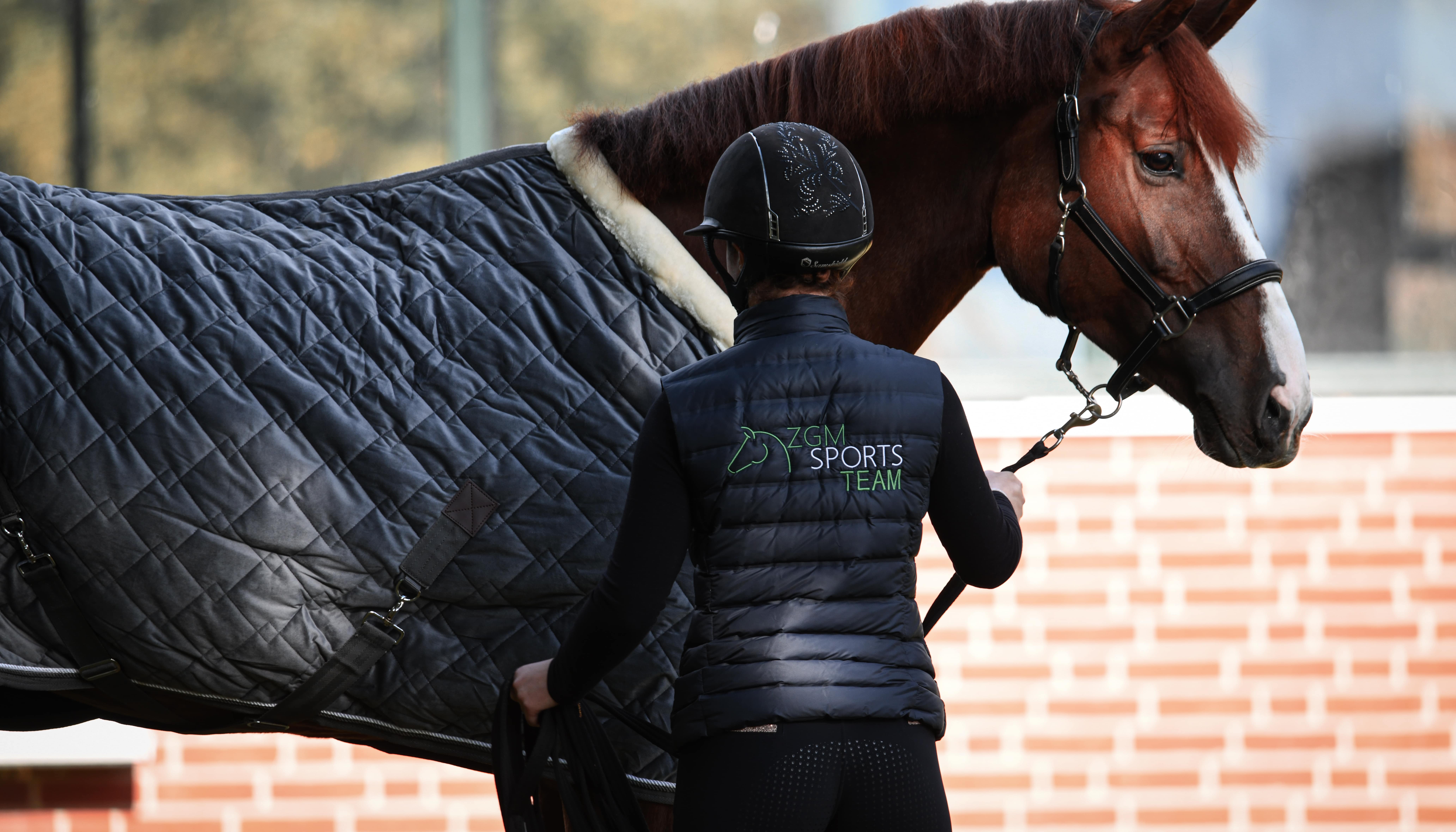 ZGM SPORTS TEAM COLLECTION 2024 Turnierdecke Velvet