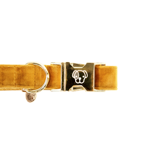 Kentucky Dogwear Hundehalsband, velvet