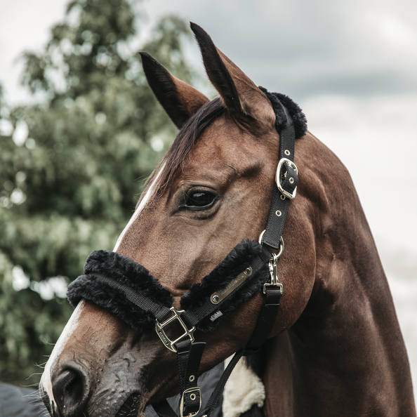 42504black1 Kentucky Horsewear Nylon Lammfell Halfter