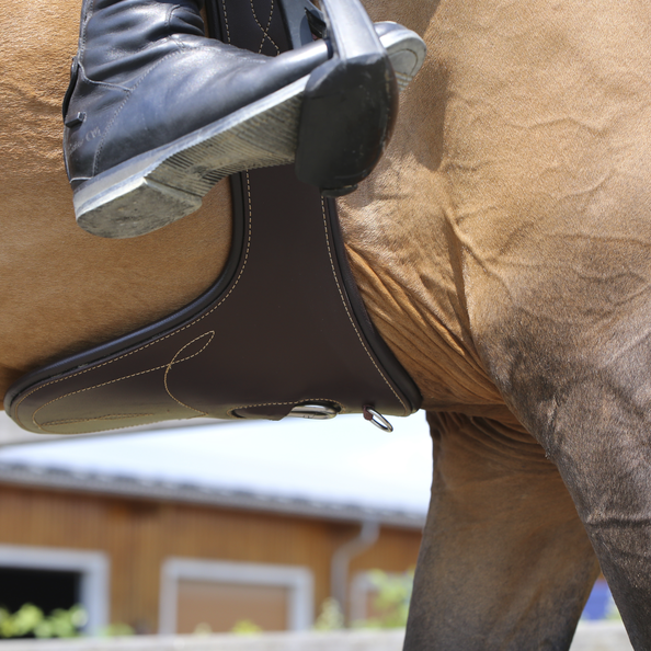 Kentucky Horsewear Sattelgurt / Stollengurt anatomisch, Leder