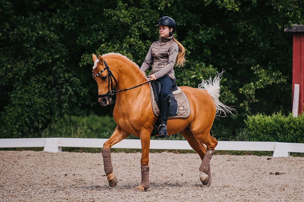 fleece-bandages-champagne-esstockholm Equestrian Stockholm Fleece Bandagen Champagne