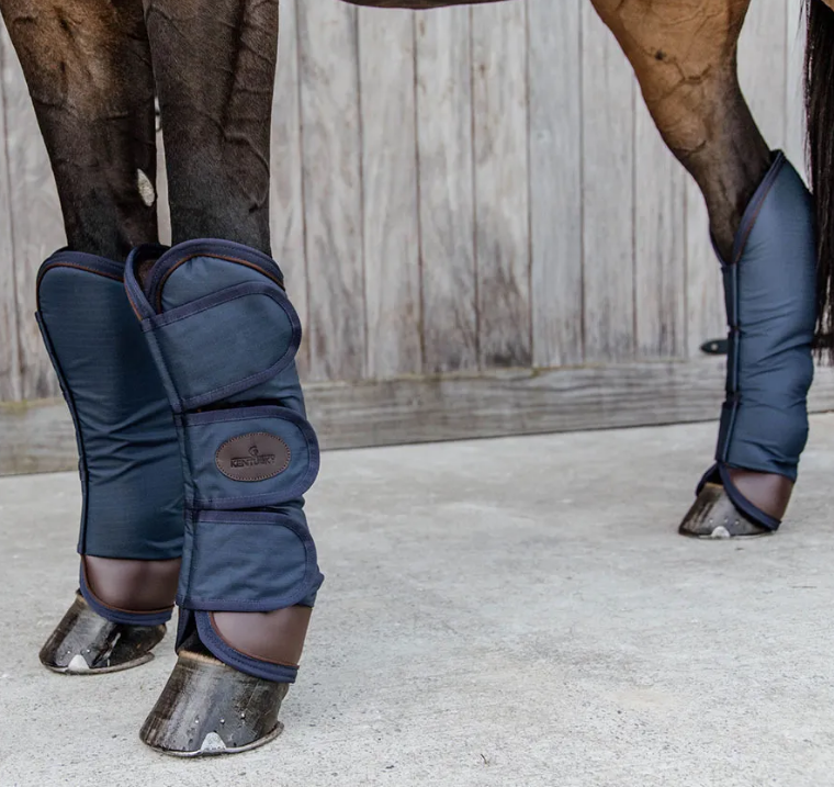 transportgamaschen4 Kentucky Horsewear Transport Gamaschen, navy
