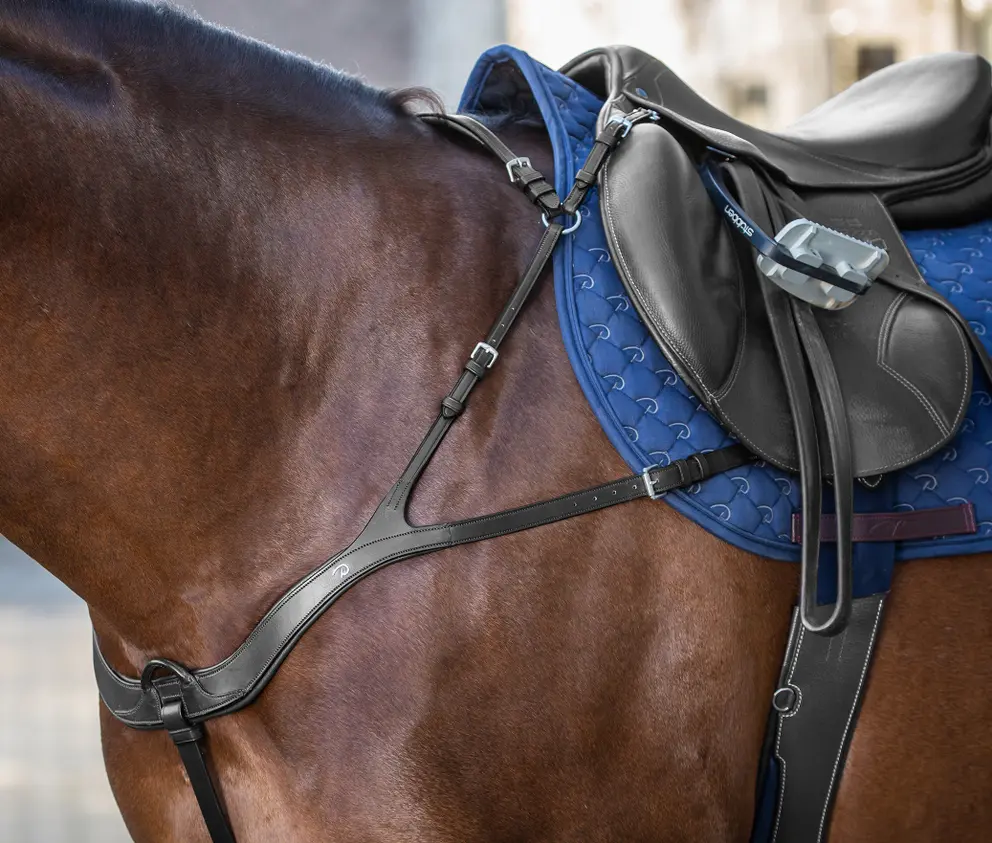 Dyon Anatomisches Vorderzeug New English Collection Dyon Anatomisches Vorderzeug New English Collection