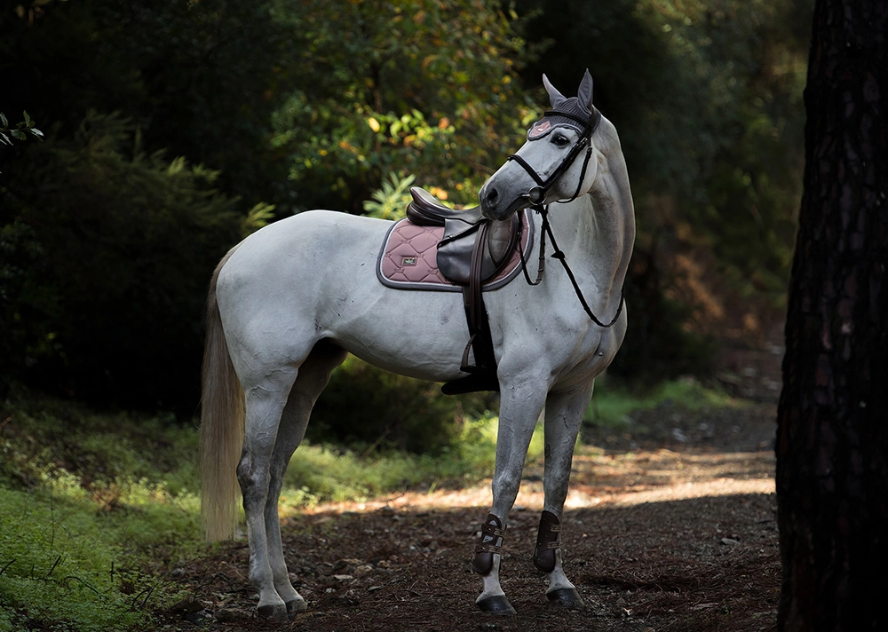 saddle-pad-jump-pink-pearl-2 Equestrian Stockholm Fliegenhaube Dusty Pink