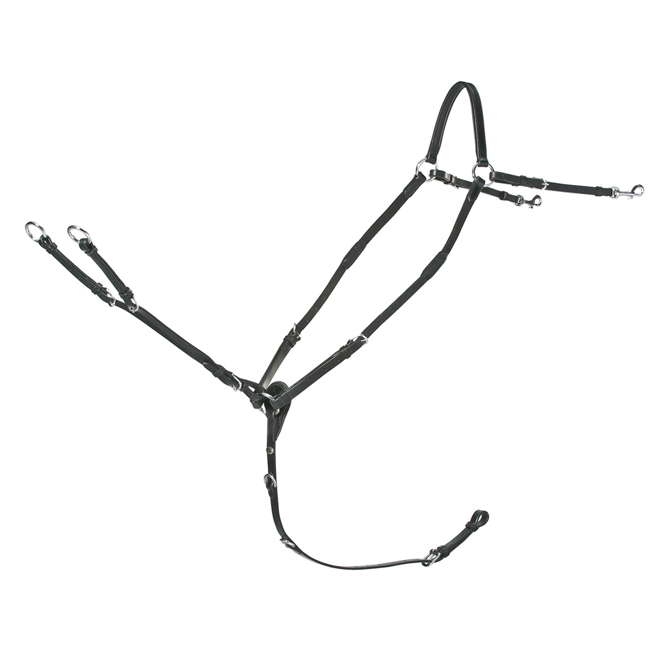 Schockemöhle Sports Vorderzeug Race II Schockemöhle Sports Vorderzeug Race II