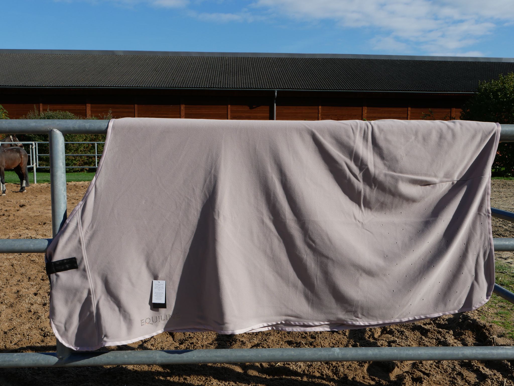 IMG-20221026-WA0023 Equiline HW22 Polar Tech Fleecedecke Galeg, taupe mit Strasssteinen