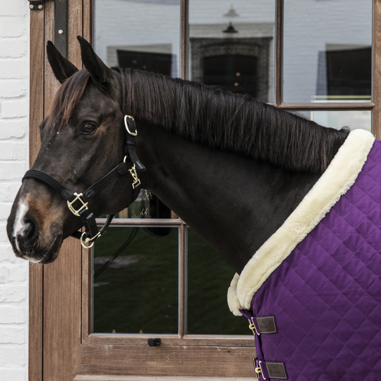 Kentucky Horsewear Turnierdecke Show Rug 160g