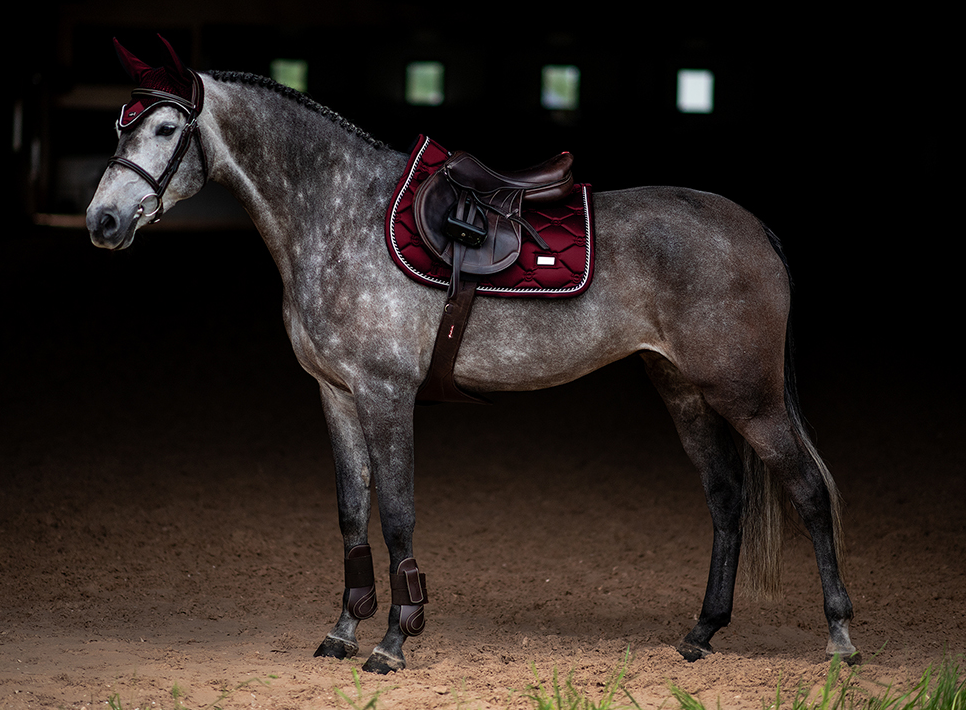 Equestrian Stockholm Spring Schabracke Bordeaux