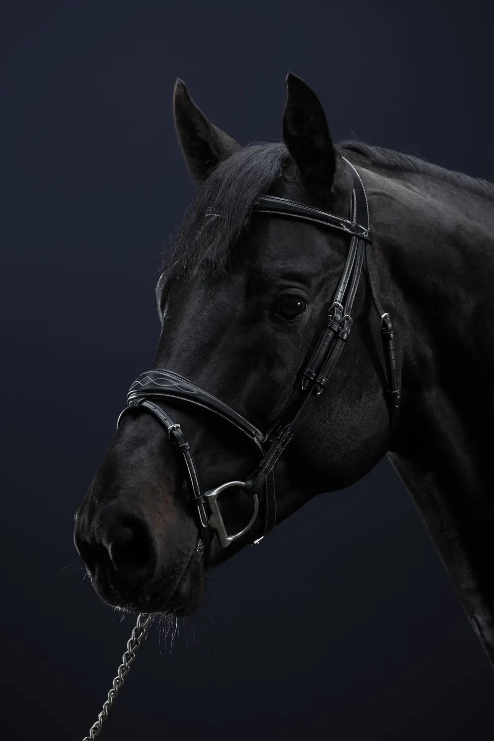 Dyon Anatomische Trense mit kombiniertem Reithalfter US Hunter Collection