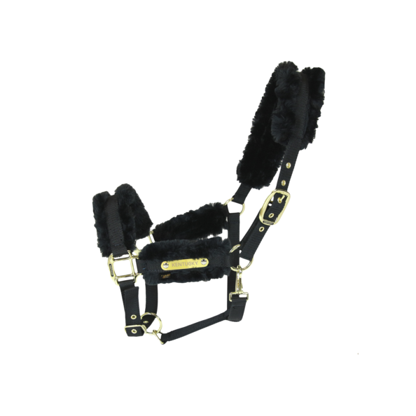 42504black Kentucky Horsewear Nylon Lammfell Halfter