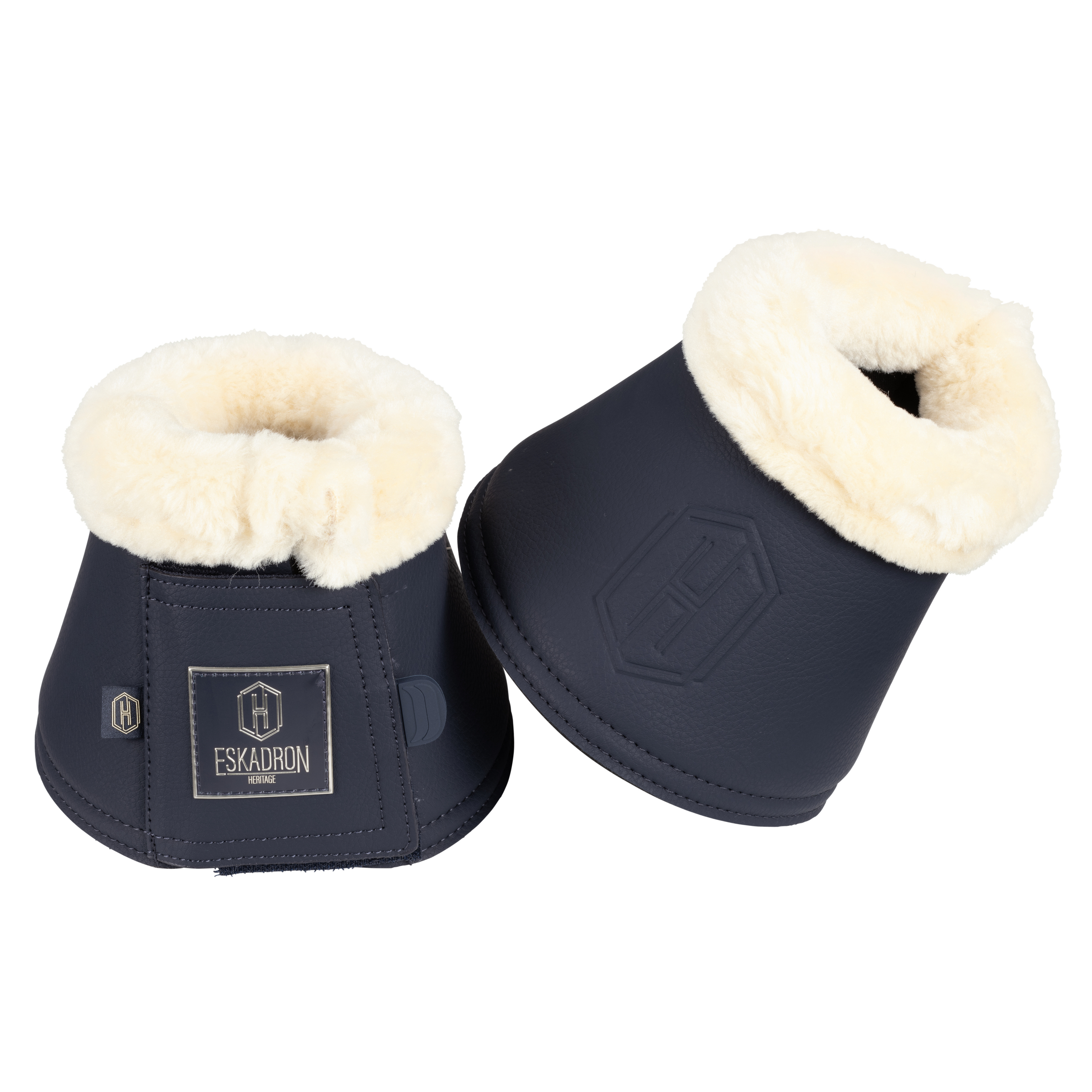 esk_672058_863_380_f_JPEG Lowres extern von Master