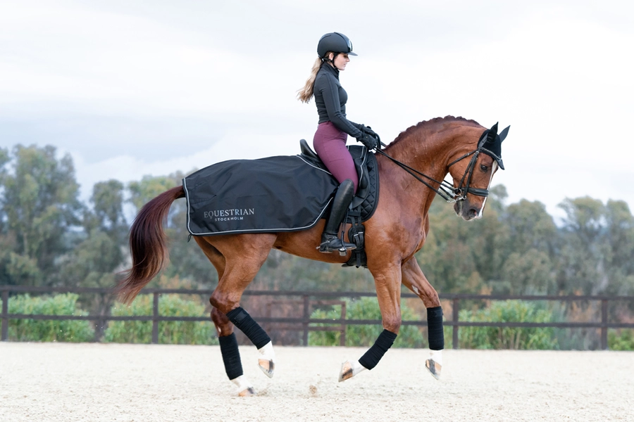 total_ecplipse_exercise_rug_4 Equestrian Stockholm Trainingsdecke Total Eclipse