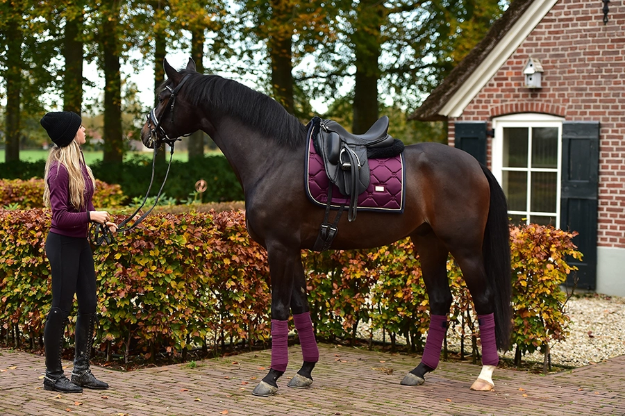 purple-gold-fleece-bandages-equestrian-stockholm-3 Equestrian Stockholm Fleece Bandagen Purple Gold