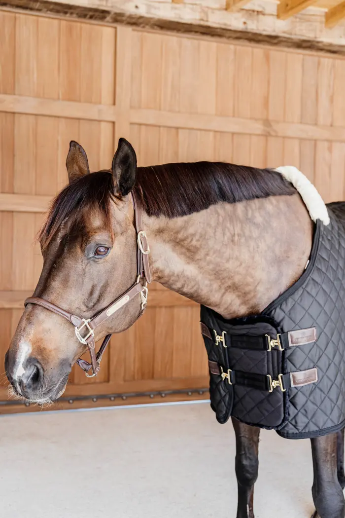 Kentucky Horsewear Brustverlängerer quilted vegan Lammfell