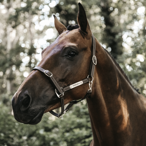 42712-2 Kentucky Horsewear Leder Halfter, flexible