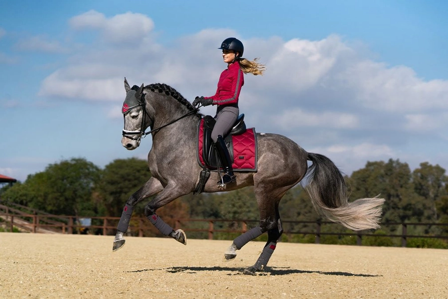 wildrose_dag3-9_retouch-1010x674 Equestrian Stockholm Fleece Bandagen Wild Rose