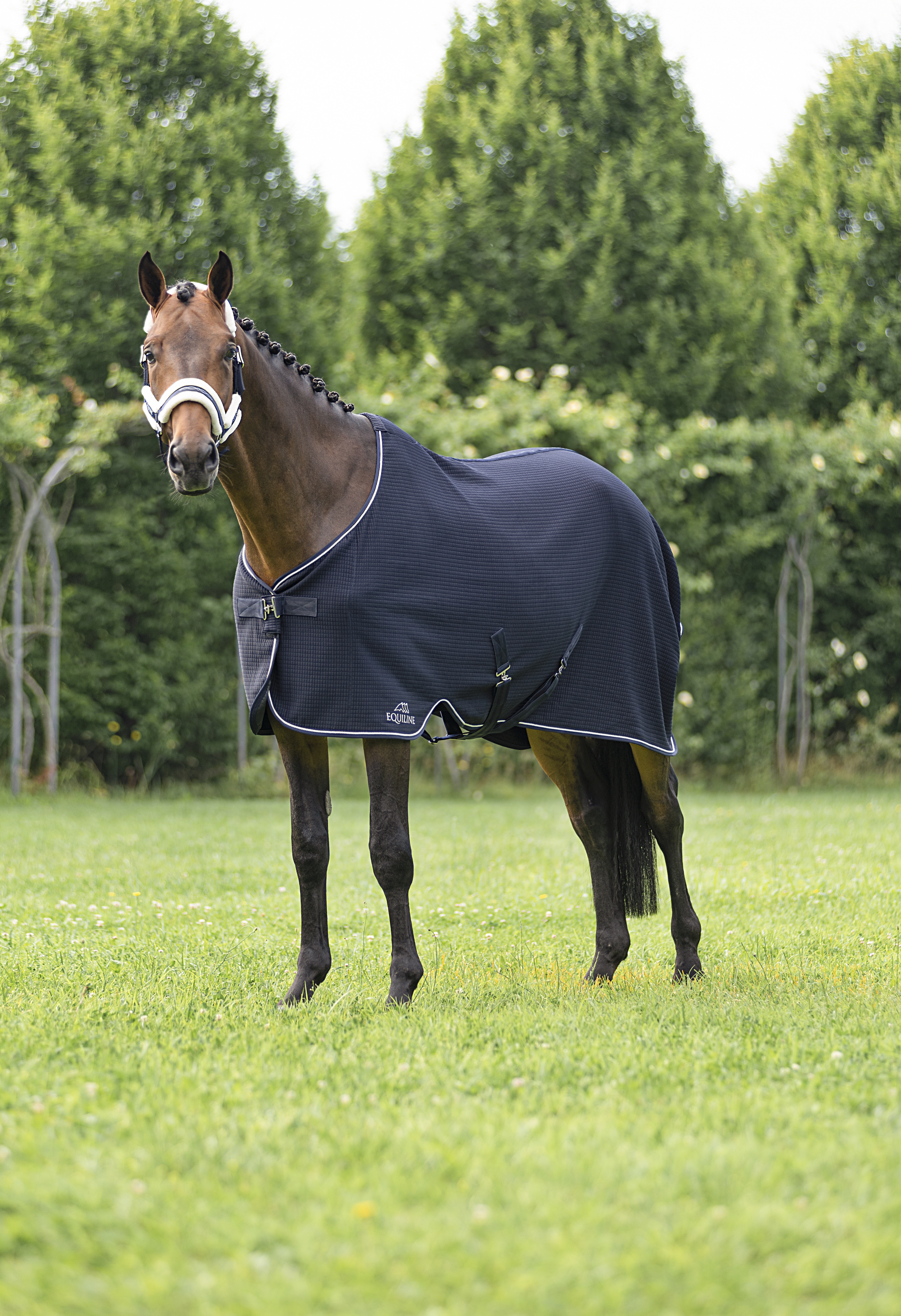 Equiline SS22 Climate control Decke, navy
