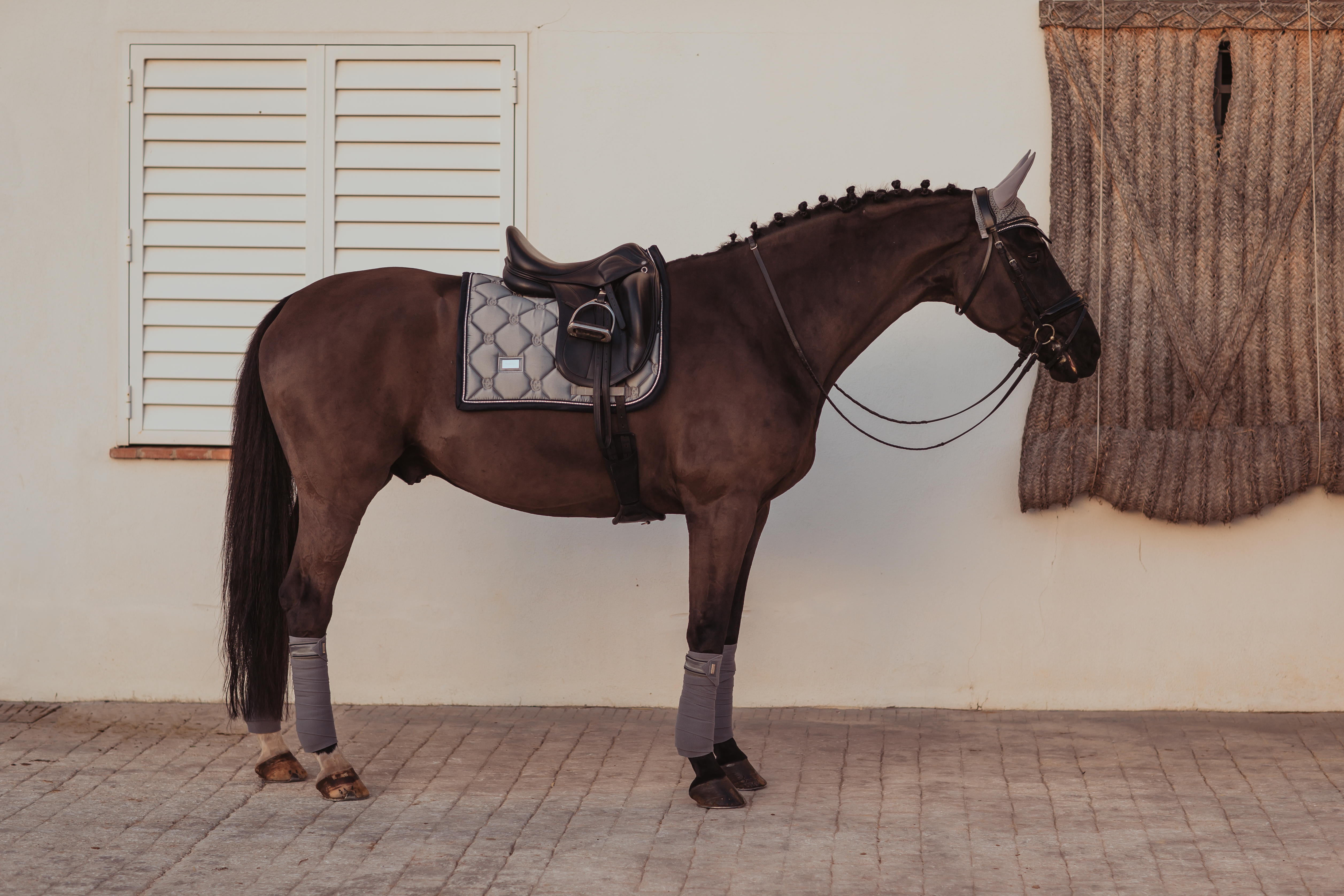 Equestrian Stockholm Dressur Schabracke Crystal Grey
