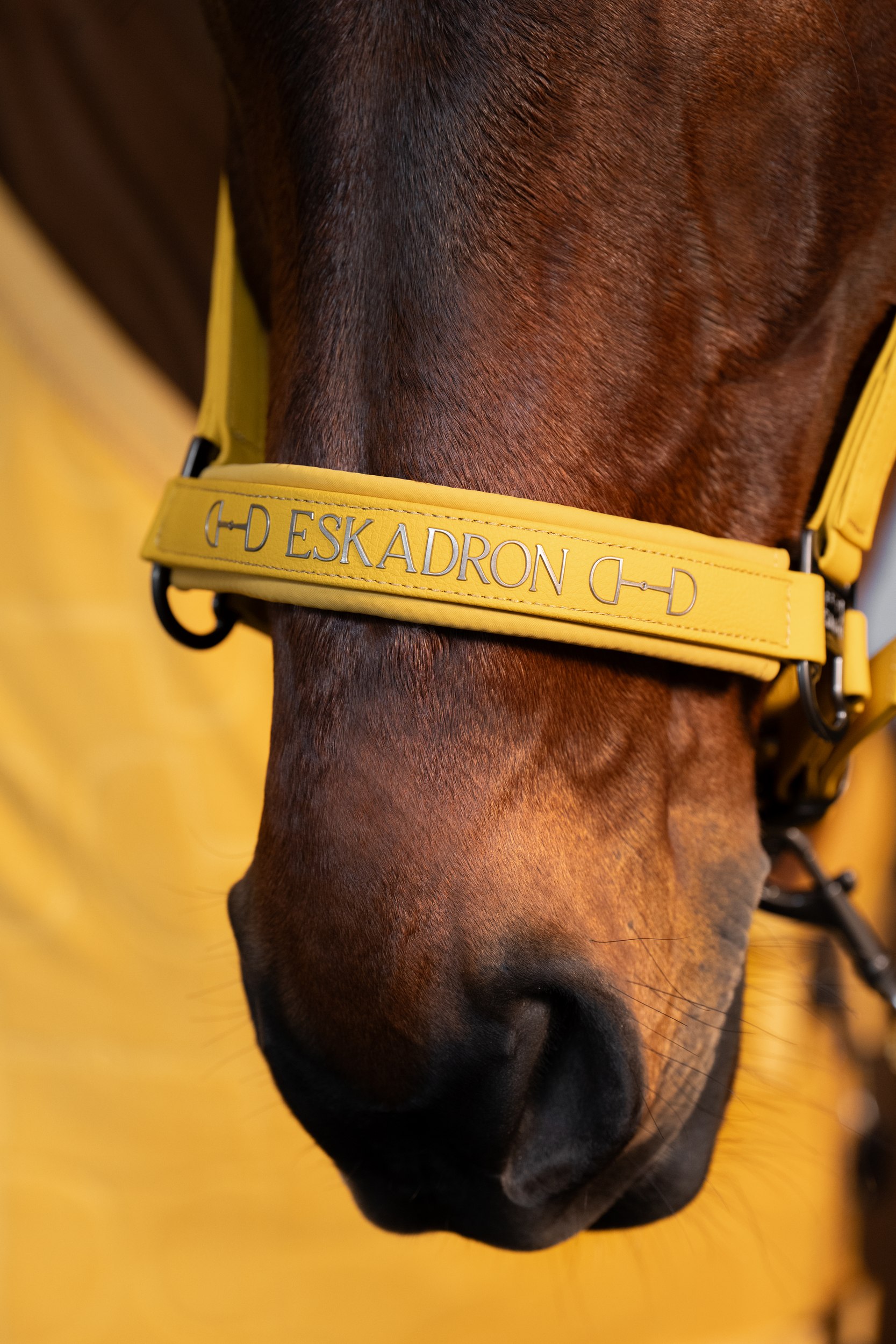 Eskadron Halfter Faux Leather Double Pin Platinum 2025