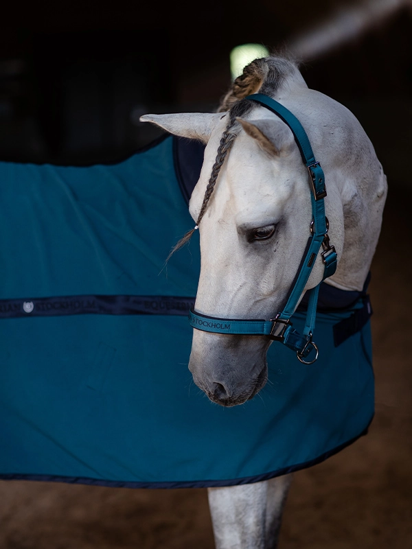 Equestrian Stockholm Fleecedecke Aurora Blues