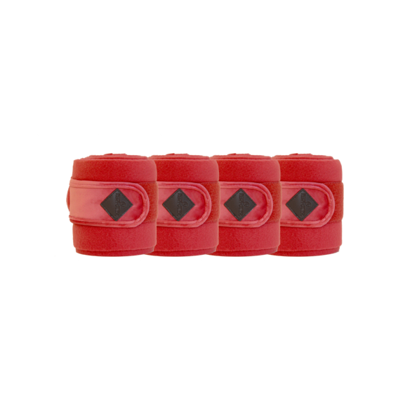 42112rot 42112rot